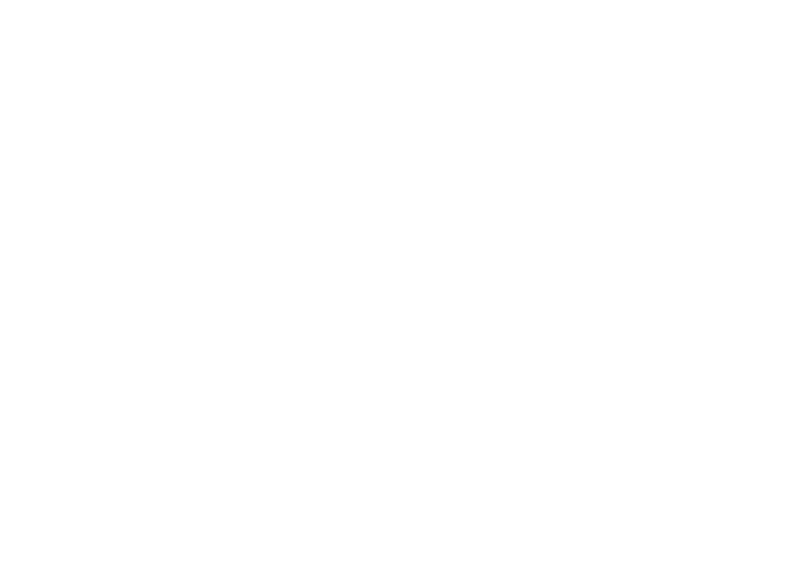 Kumppani 1